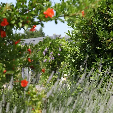 Κατάλυμα σε φάρμα Casa San Marco Castelnuovo del Garda