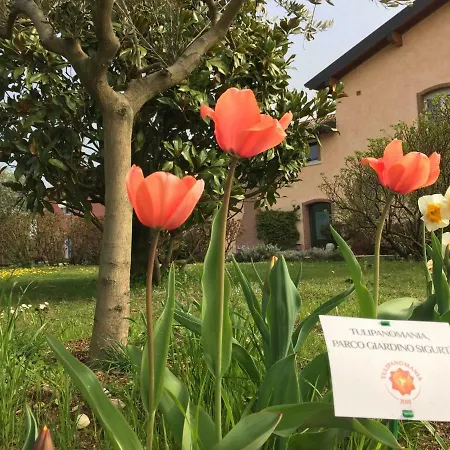 Κατάλυμα σε φάρμα Casa San Marco *