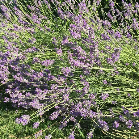 Casa San Marco Castelnuovo del Garda