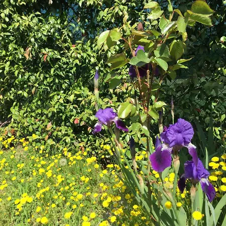 Casa San Marco Castelnuovo del Garda