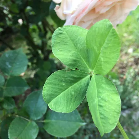 Κατάλυμα σε φάρμα Casa San Marco