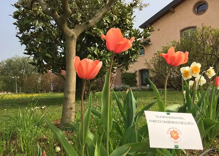 Фермерский дом Casa San Marco *